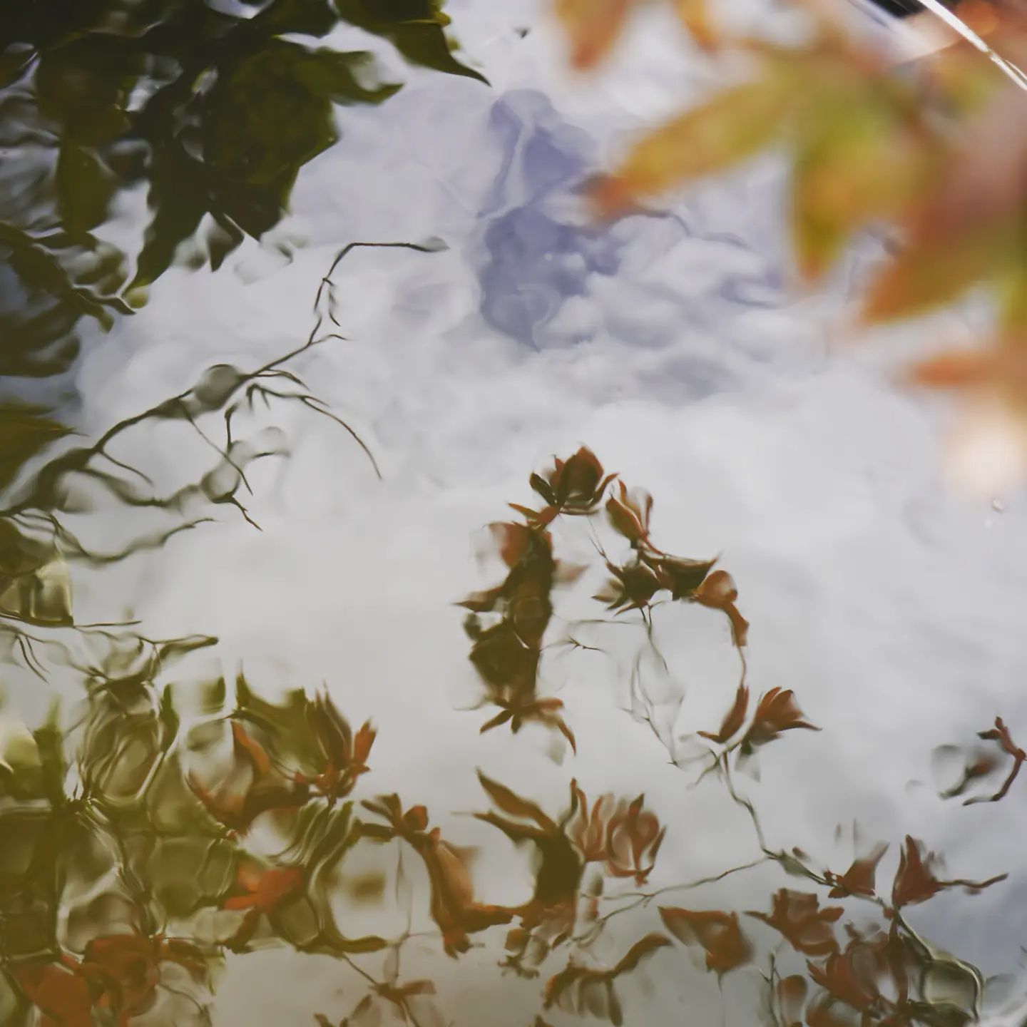 Feeling autumnal clearly with these pics #photooftheday #autumn #reflections